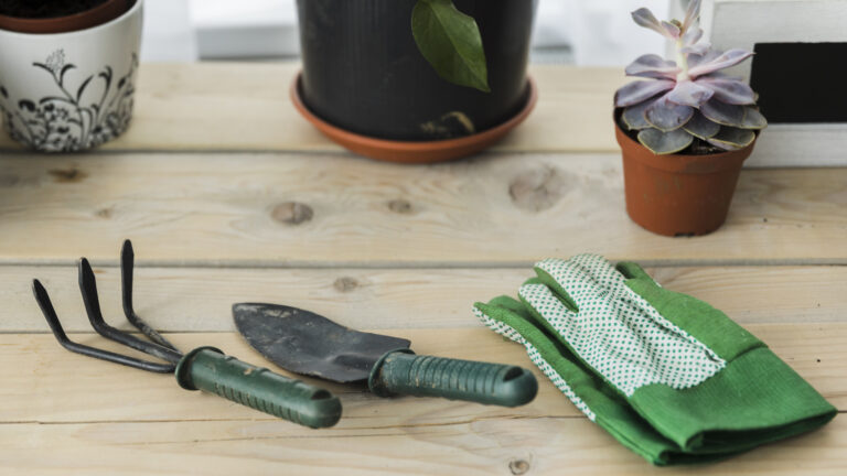 Master the Edge: How to Sharpen Garden Tools at Home?