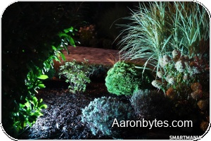 Govee’s Outdoor Lights Turn Your Yard into a Colorful, Smart Hangout