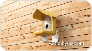 Bird Buddy’s Smart Birdhouses Land in Czech Republic and Slovakia, Bringing AI-Powered Birdwatching to Backyards