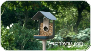 Bird Buddy’s Smart Birdhouses Land in Czech Republic and Slovakia, Bringing AI-Powered Birdwatching to Backyards